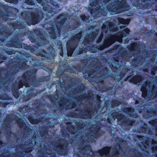 Best AI Generated Images